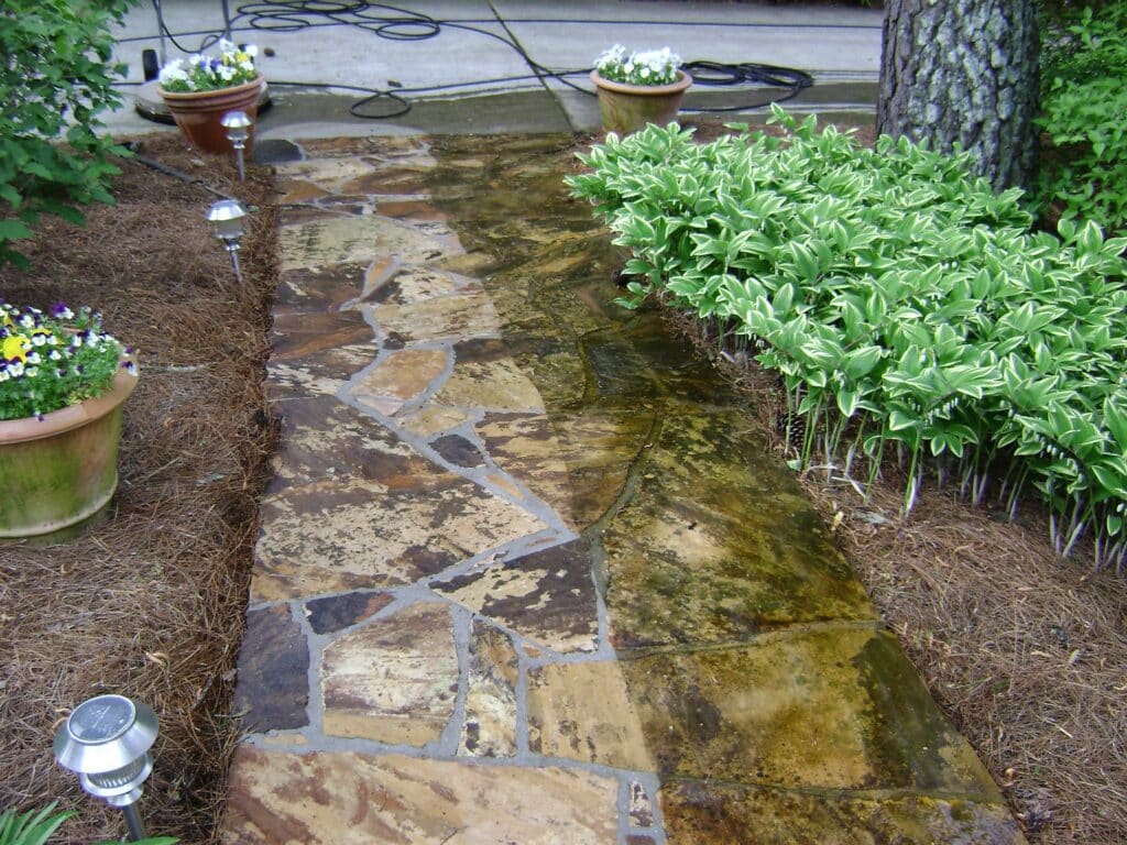 Rockford Natural Stone Power Washing